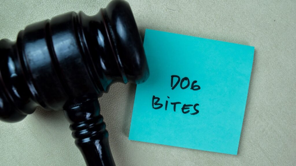 phoenix dog bite injury attorney